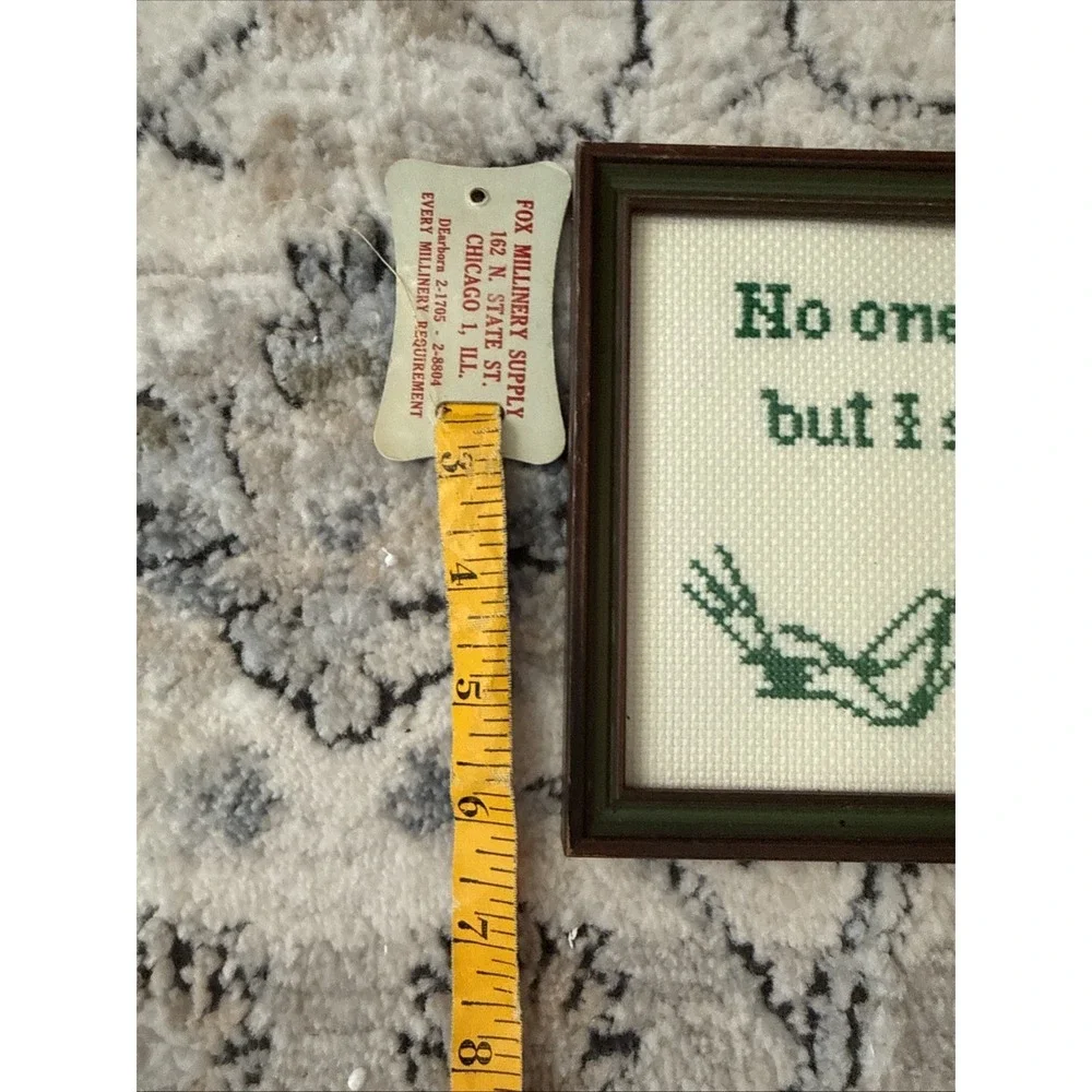 Humorous Framed Cross Stitch Quote Finished Wall Decor Art Sexy Toad